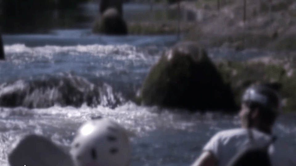 Sur le vif du 21 novembre