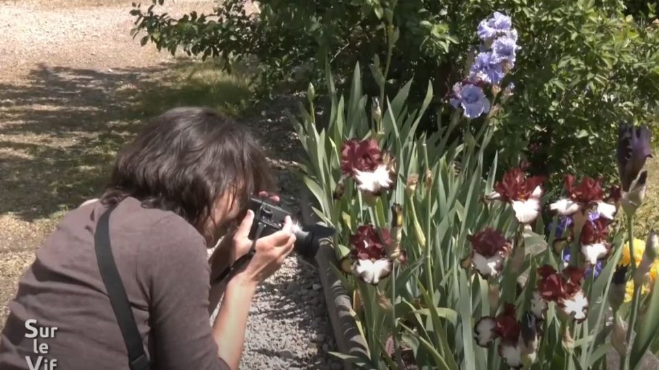 Sur le vif du 5 juin