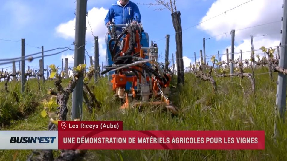 Busin'Est le reportage du 15 mai