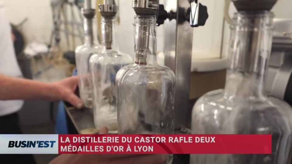 Busin'Est le reportage du 23 avril