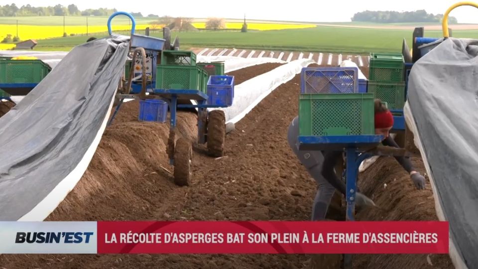 Busin'Est le reportage du 30 avril