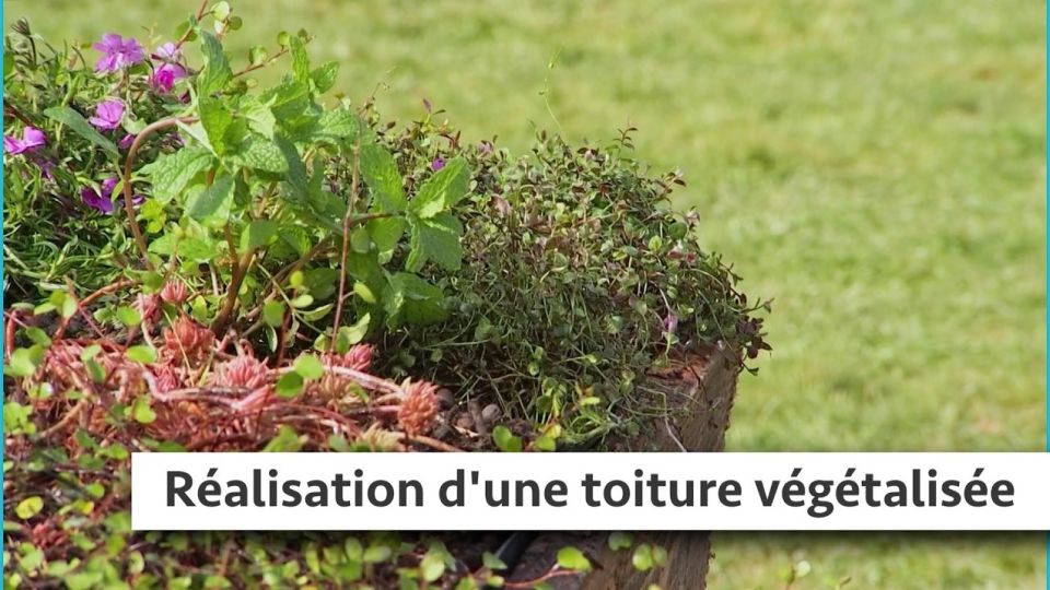 Atelier du jardin : réalisation d'une toiture végétalisée
