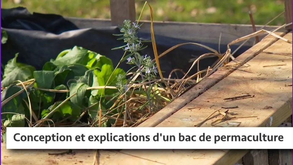 Atelier du jardin : Conception et explications d'un bac de permaculture