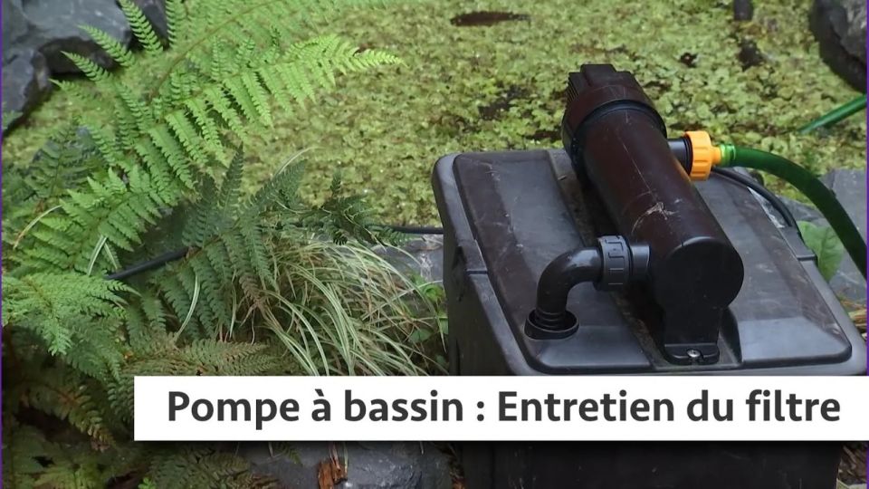 Atelier du jardin : Entretien du filtre d'une pompe à bassin