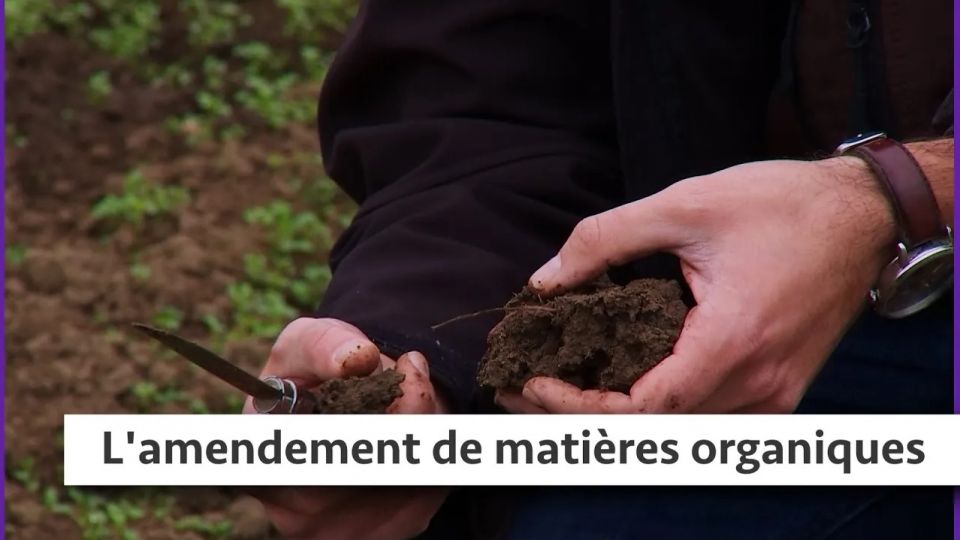 Atelier du jardin : L'amendement de matières organiques