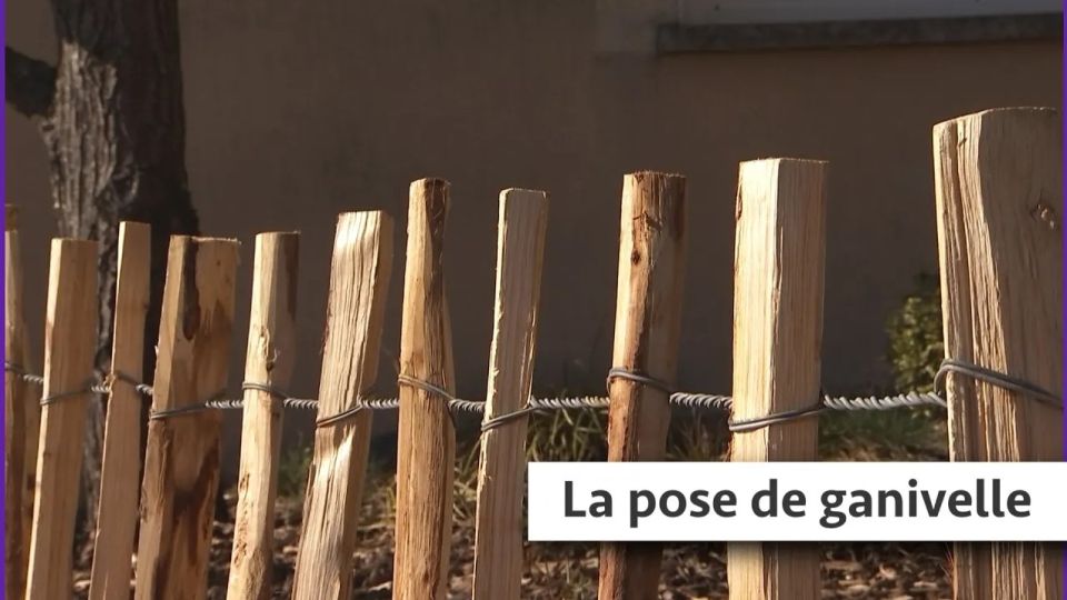Atelier du jardin : La pose de ganivelle