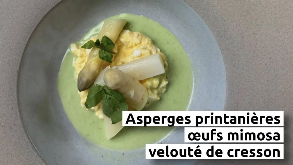 A feu doux : Le Bois Chenu #02 Asperges printanières, œufs mimosa et velouté de cresson
