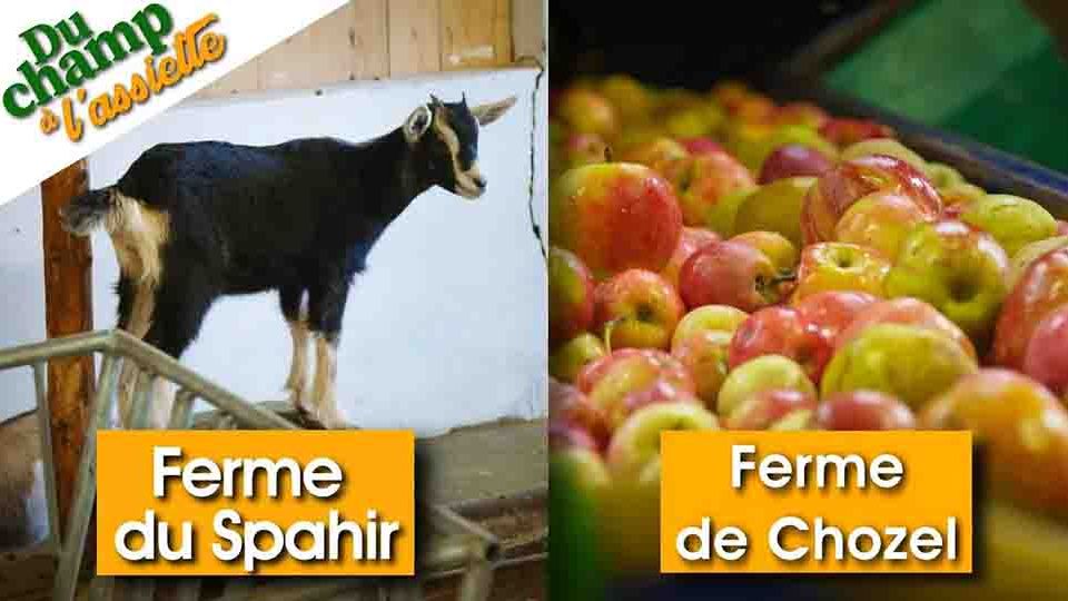 Du Champ à l'assiette : Ferme du Saphir et ferme de Chozel