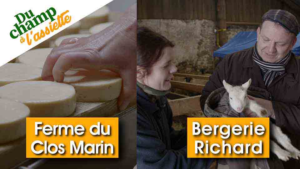 Du champ à l'assiette : à la Bergerie Richard et au GAEC du Clos Marin