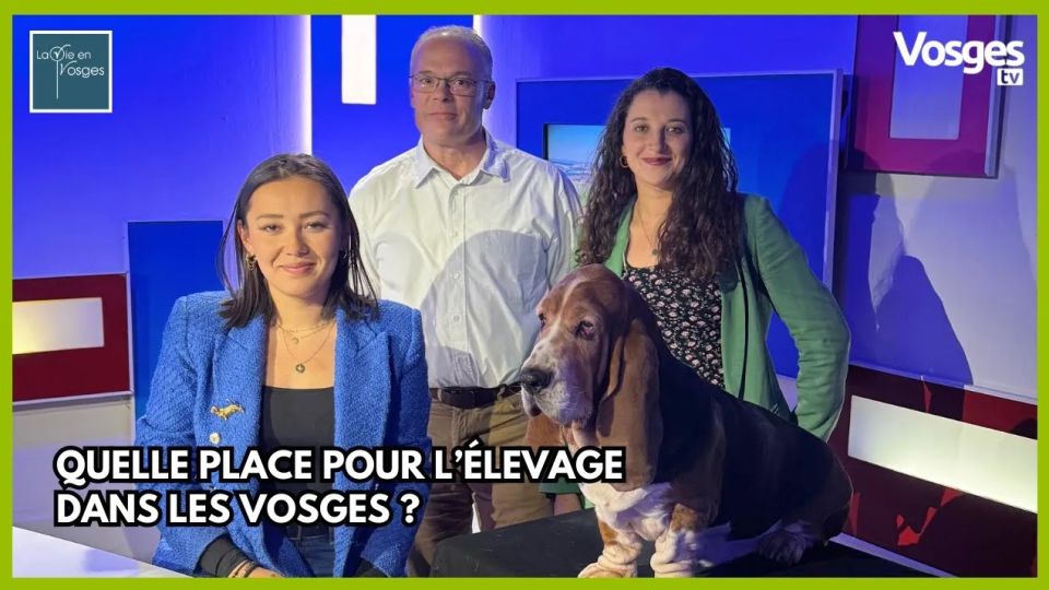 La Vie en Vosges avec Charlotte Harroué & Hubert Vin