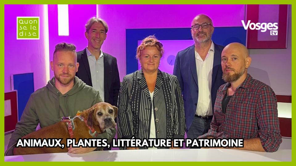 Qu'on se le dise du 11 septembre