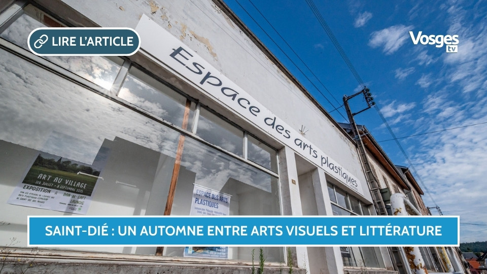 Saint-Dié : un automne entre arts visuels et littérature