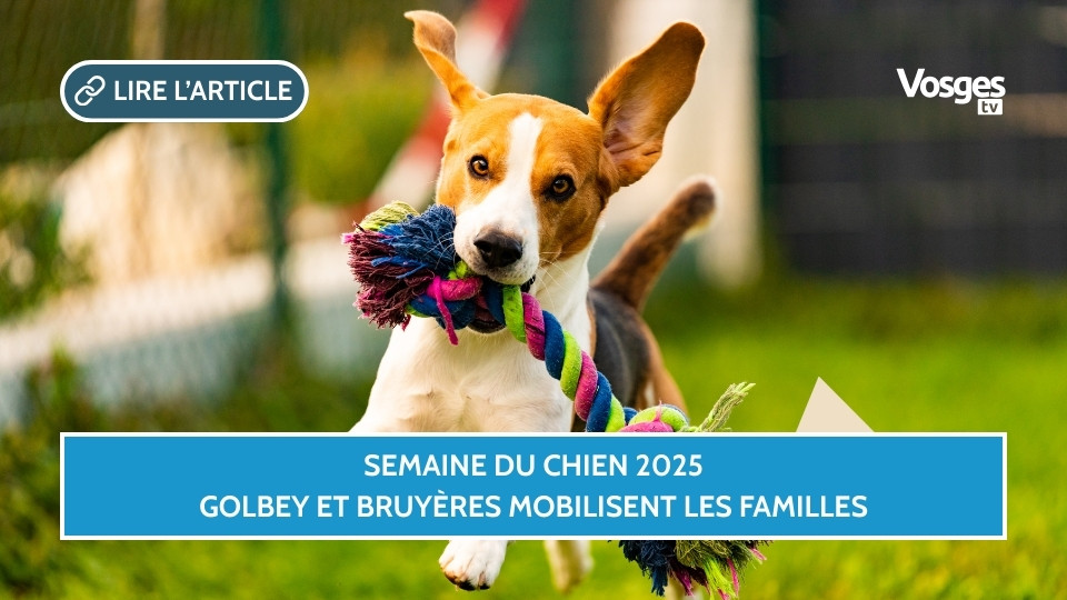 Semaine du chien 2025, Golbey et Bruyères mobilisent les familles