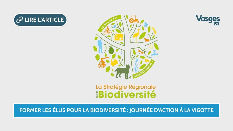 Former les élus à agir pour la biodiversité : une journée d’action à La Vigotte