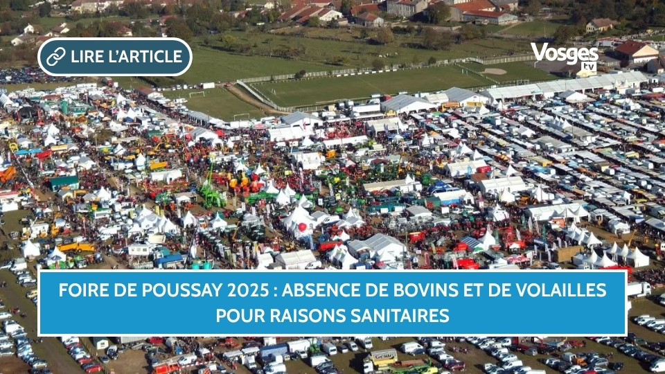 Foire de Poussay 2025 : absence de bovins et de volailles pour raisons sanitaires