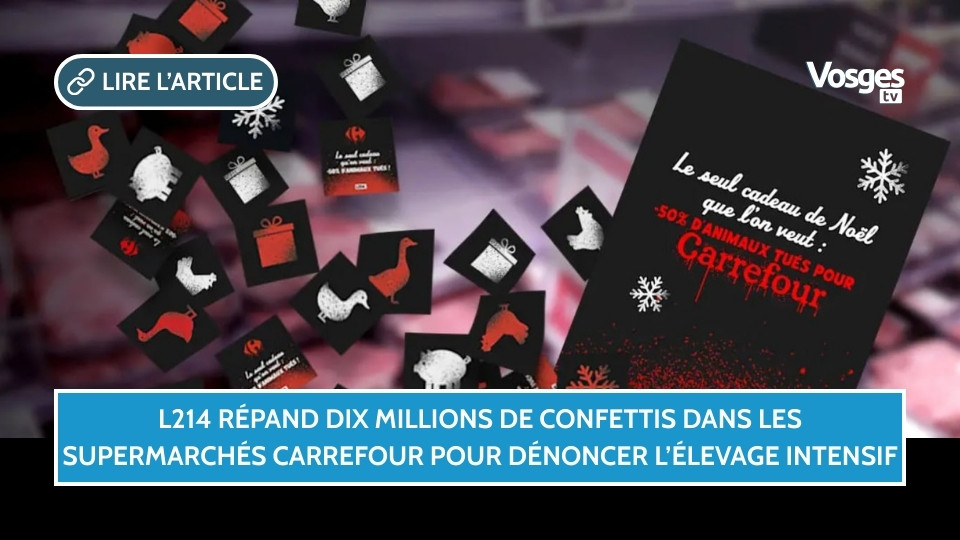 L214 répand dix millions de confettis dans les supermarchés Carrefour pour dénoncer l’élevage intensif