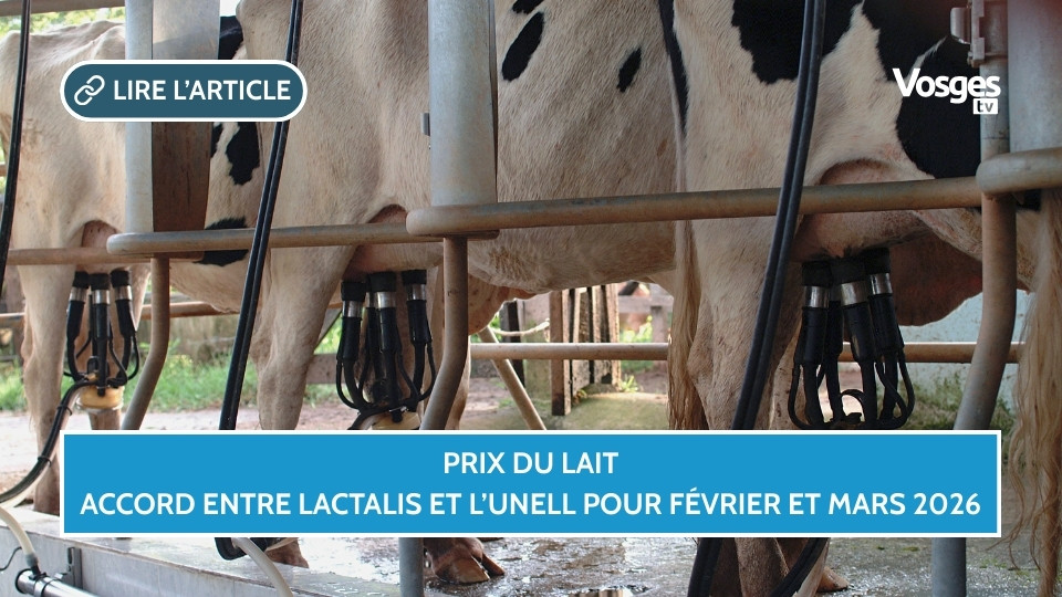 Prix du lait, accord entre Lactalis et l’Unell pour février et mars 2026