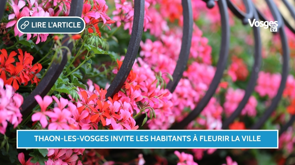 Thaon-les-Vosges invite les habitants à fleurir la ville en 2026