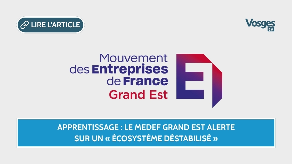 Apprentissage : le MEDEF Grand Est alerte sur un « écosystème déstabilisé »
