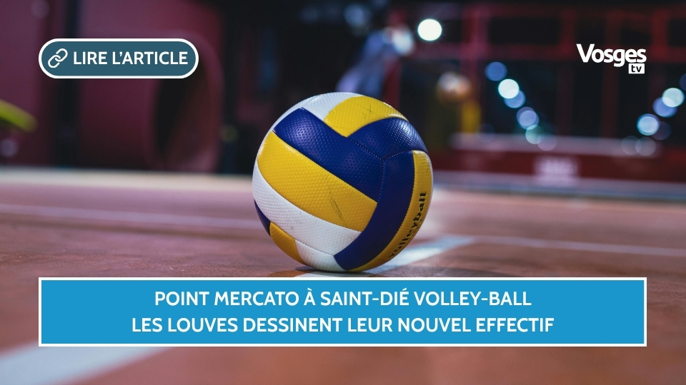 Point mercato à Saint-Dié Volley-Ball : les Louves dessinent leur nouvel effectif