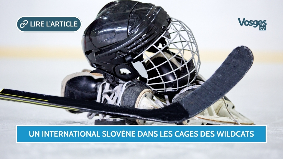 Hockey : un international slovène dans les cages des Wildcats