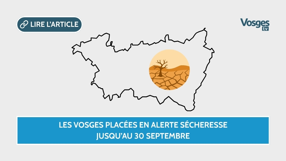 Les Vosges placées en alerte sécheresse jusqu’au 30 septembre