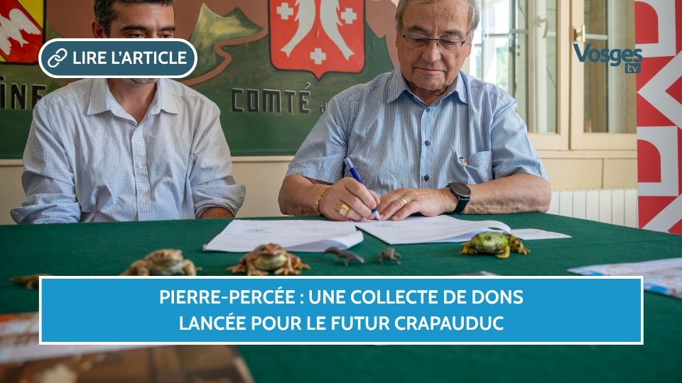 Pierre-Percée : une collecte de dons lancée pour le futur crapauduc