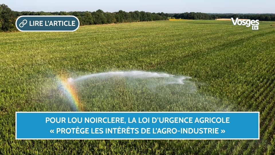Pour Lou Noirclere, la loi d’urgence agricole « protège les intérêts de l’agro-industrie »
