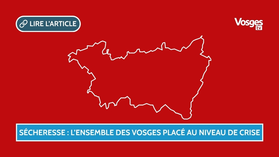 Sécheresse : l’ensemble des Vosges placé au niveau de crise