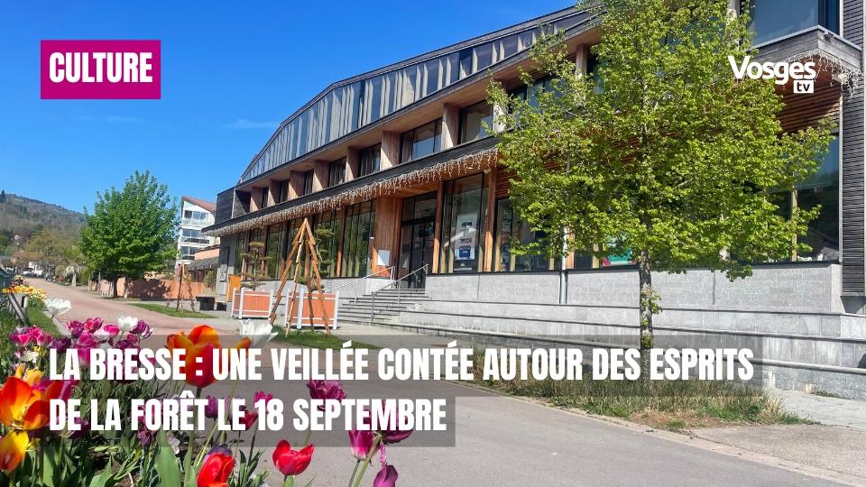 La Bresse : une veillée contée autour des Esprits de la forêt le 18 septembre