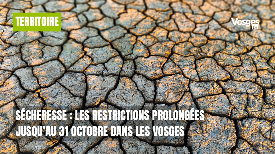 Sécheresse : les restrictions prolongées jusqu’au 31 octobre dans les Vosges