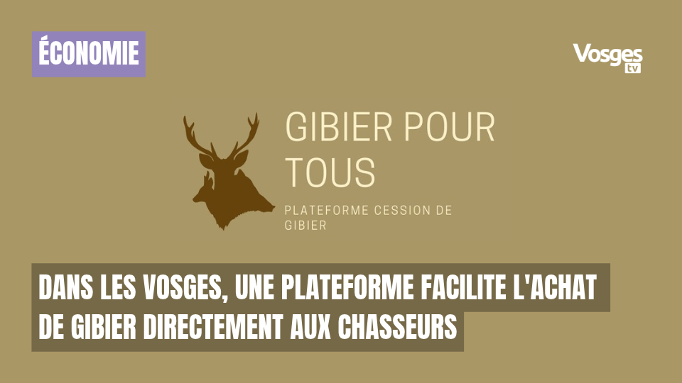 Dans les Vosges, une plateforme facilite l'achat de gibier directement aux chasseurs